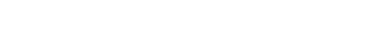 Executive Network Services, Inc.